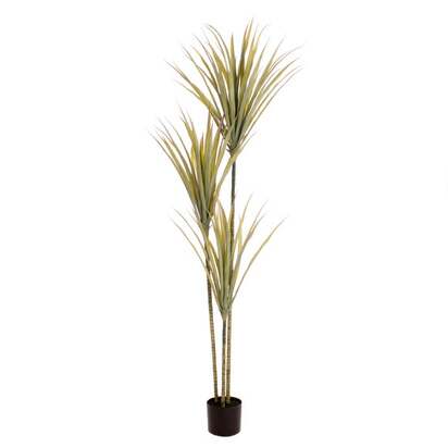 Artificial Yucca Tree in Black Plastic Plant Pot