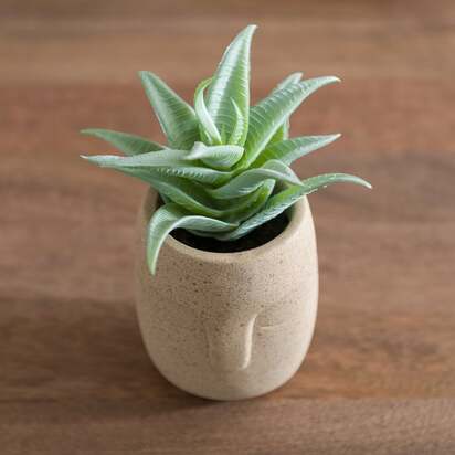 Open uri20250721 5835 1677twz?1753081054