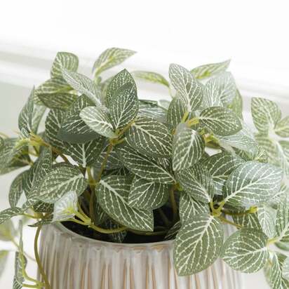Artificial Fittonia Plant in Textured Ceramic Plant Pot