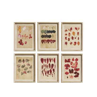 OKA | Patimeno Framed Petal Prints - Set of Six - Multi | Print