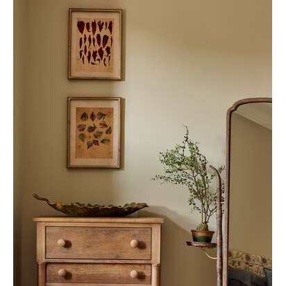 OKA | Patimeno Framed Petal Prints - Set of Six - Multi | Print