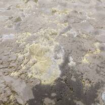 Open uri20250902 24100 c62ij7?1756812146