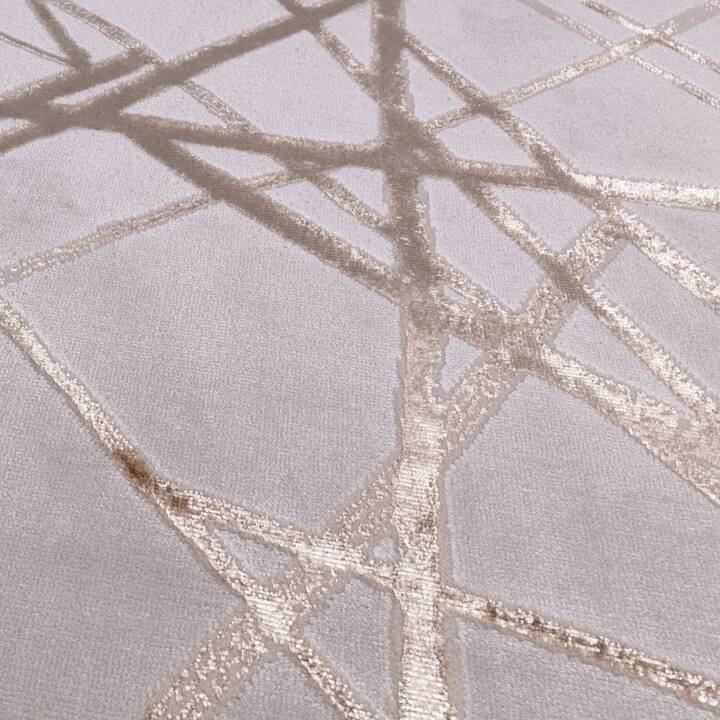 Open uri20250902 24100 1wxlm8k?1756812590