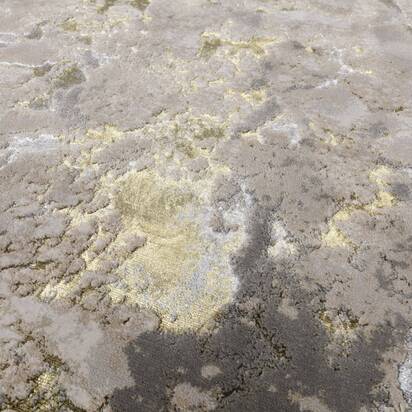 Open uri20250902 24100 1sqqnw7?1756812843