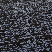 Open uri20250902 24100 xsrlaq?1756819694