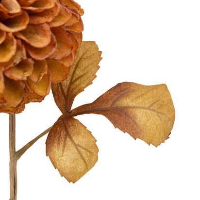 Open uri20250902 24100 1f01vf5?1756830292