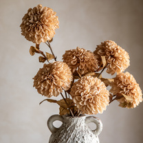 Open uri20250902 24100 6yyziy?1756830313