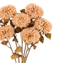 Open uri20250902 24100 15ty3a0?1756830329