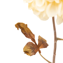 Open uri20250902 24100 1k81osp?1756830335