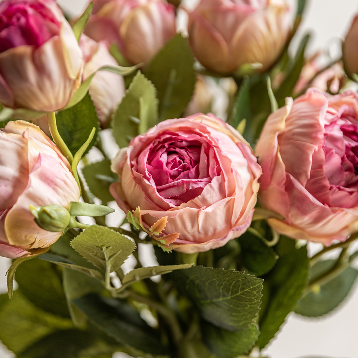 Open uri20250902 24100 ngts4n?1756830734