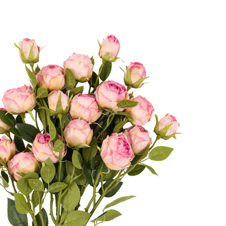 Open uri20250902 24100 1j0h474?1756830744