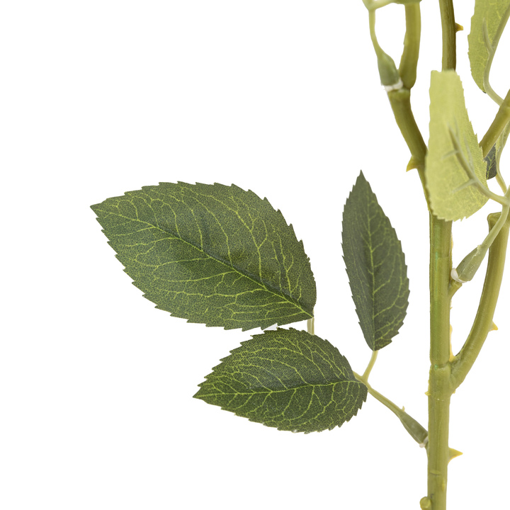 Open uri20250902 24100 19cdw1v?1756830750