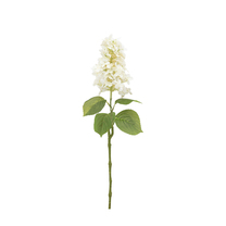 Open uri20250902 24100 6p4ias?1756831153