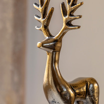 Open uri20250902 24100 twxc1x?1756831854