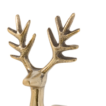 Open uri20250902 24100 x35iud?1756831880