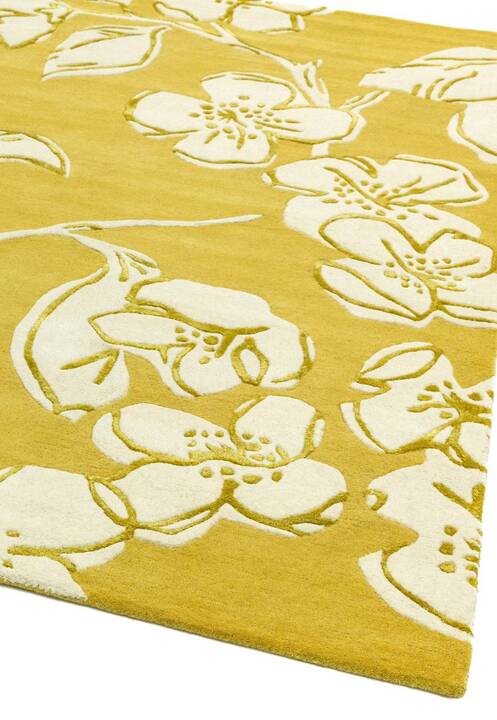 Open uri20250902 24100 11syhk7?1756834244