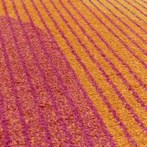 Open uri20250902 24100 10o8rms?1756838736