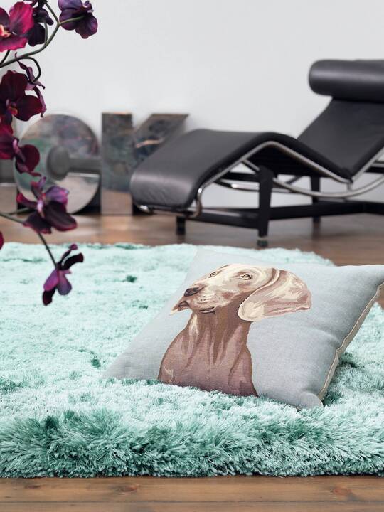 Open uri20250902 24100 17ek0fg?1756845744