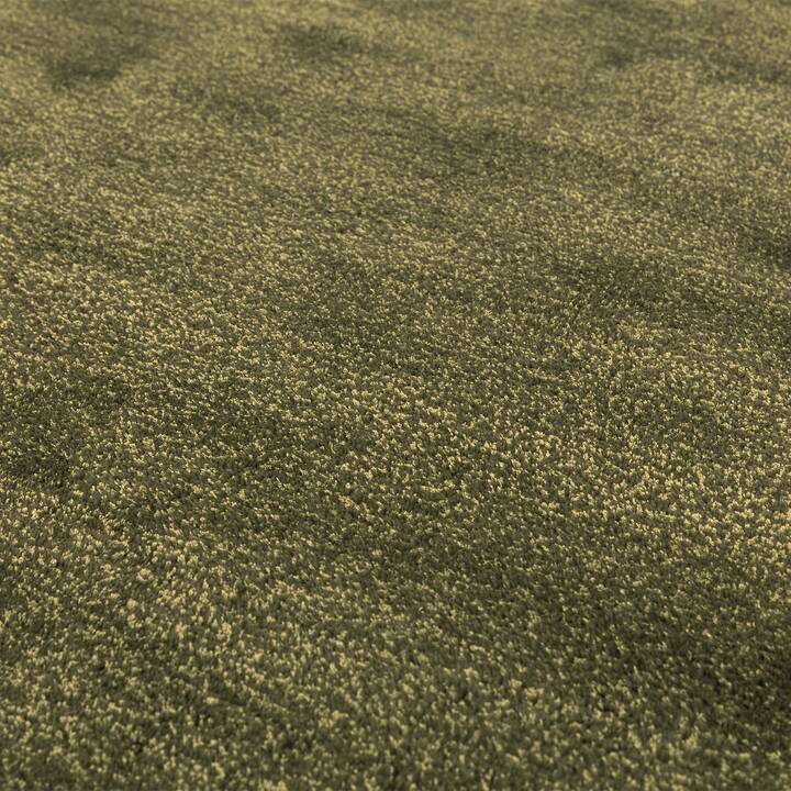 Open uri20250902 24100 1wwpr48?1756847375