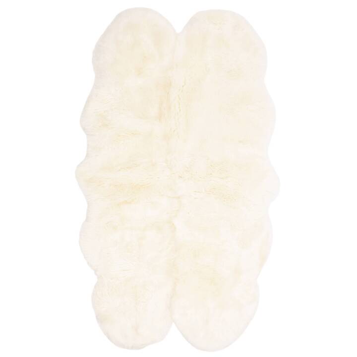 Open uri20250902 24100 1vlo9cs?1756849138