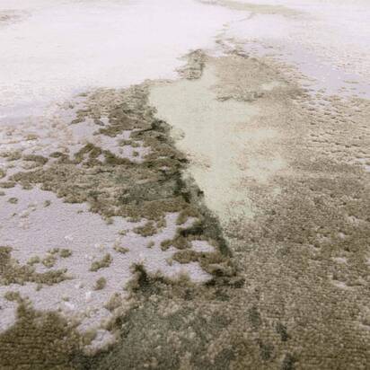 Open uri20250902 24100 pj4qlj?1756852132