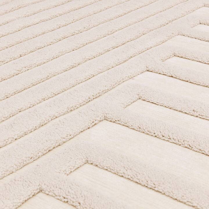 Open uri20250902 24100 coin4b?1756853141