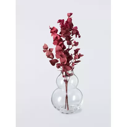John Lewis Gourd Glass Vase, H17cm, Clear Clear | H17 x W12.70 x D12.70cm