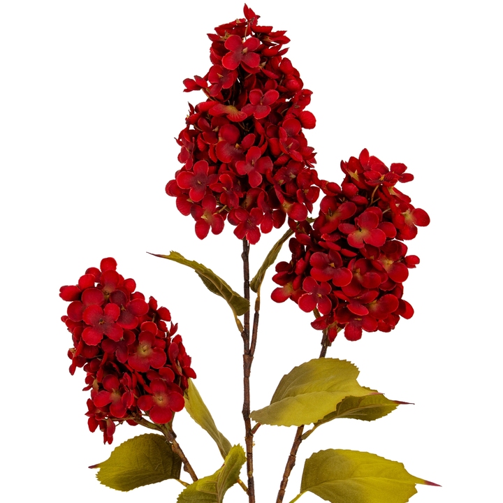 Open uri20250906 24406 g3xgda?1757138078