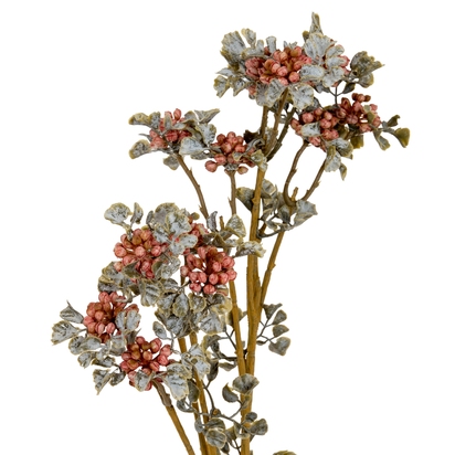 Open uri20250906 24406 aubwh5?1757138114