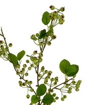 Open uri20250906 24406 7b3enj?1757139159