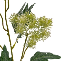 Open uri20250906 24406 8gvugb?1757139176