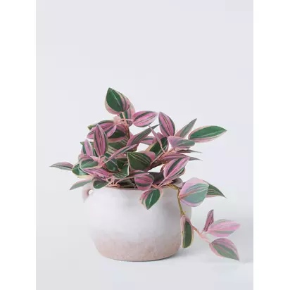 John Lewis Artificial Tradescantia Plant in Ceramic Pot, H23cm, Green Green | H23 x W25.50 x D33cm