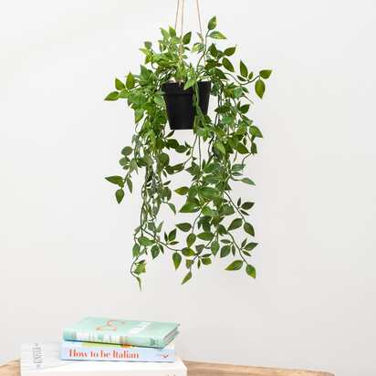 Open uri20250927 6006 1ui92os?1758975550