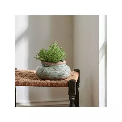 Neptune Broseley Low Indoor/Outdoor Earthenware Plant Pot, 21.5cm, Moss Moss | H10 x W21.50 x D21.50cm