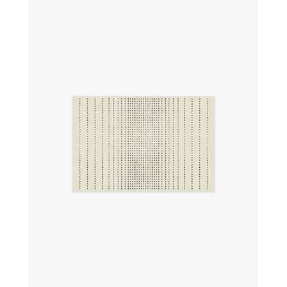 Array Black & Ivory Rug - 60 x 90 cm - All-In-One Rug