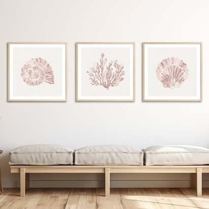 Set of Three Pink Coral and Shell Art Prints  - Framed