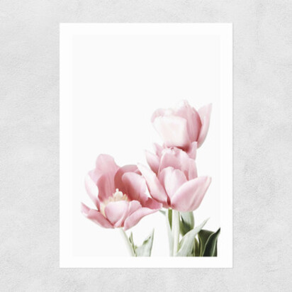 Tulips A3 (29.7 x 42cm) Frame Natural Oak Medium (22mm) 