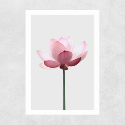 Lotus A3 (29.7 x 42cm) Frame Natural Oak Narrow (15mm) 