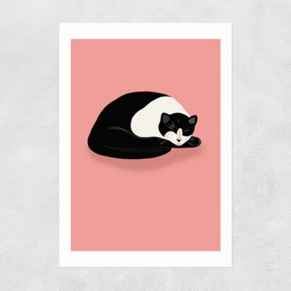 Cat Nap A2 (42 x 59.4cm) Frame Natural Oak Narrow (15mm) 