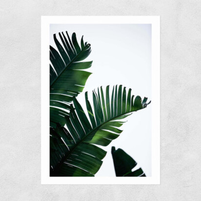 Palm Leaves 50x70cm Frame Black Narrow (15mm) 