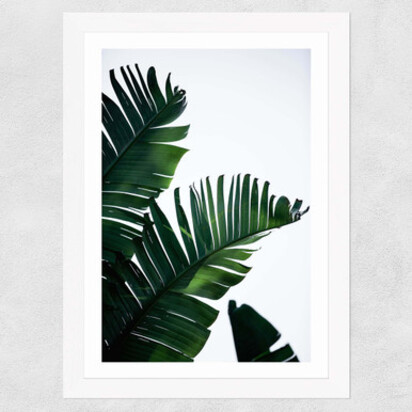 Palm Leaves A3 (29.7 x 42cm) Frame Natural Oak Medium (22mm) 