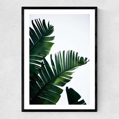 Palm Leaves 50x70cm Frame Black Narrow (15mm) 