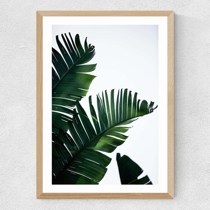 Palm Leaves A3 (29.7 x 42cm) Frame Natural Oak Medium (22mm) 