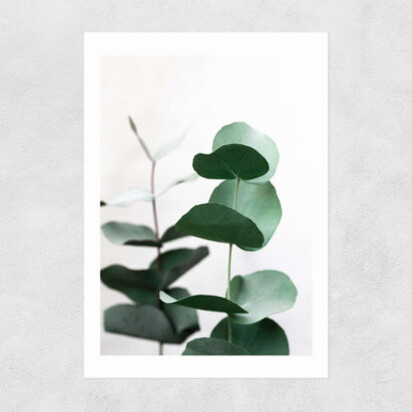 Eucalyptus 5 A3 (29.7 x 42cm) Frame Natural Oak Medium (22mm) 