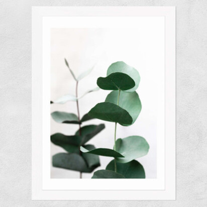 Eucalyptus 5 A3 (29.7 x 42cm) Frame Natural Oak Medium (22mm) 