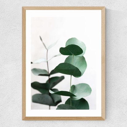 Eucalyptus 5 A3 (29.7 x 42cm) Frame Natural Oak Medium (22mm) 