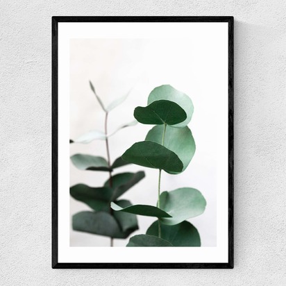 Eucalyptus 5 A3 (29.7 x 42cm) Frame Black Narrow (15mm) 