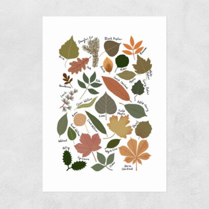 Leaf Chart A3 (29.7 x 42cm) Frame Natural Oak Narrow (15mm) 
