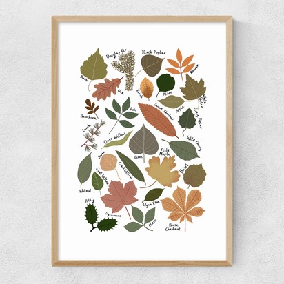 Leaf Chart A3 (29.7 x 42cm) Frame Natural Oak Narrow (15mm) 