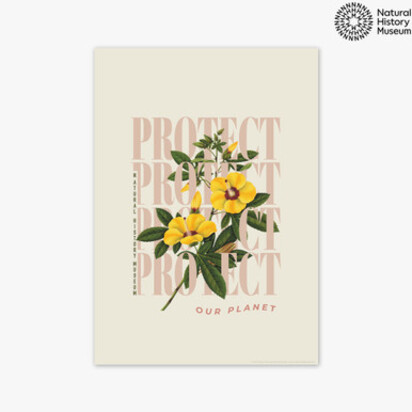 Protect Yellow Flower A3 (29.7 x 42cm) Frame Natural Oak Medium (22mm) 